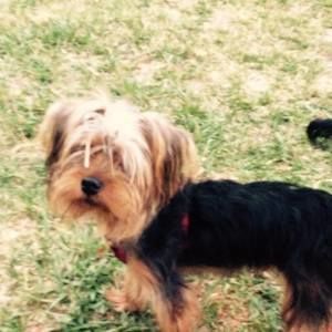 Meet your Posher, Shari